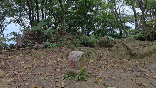 桃園金面山3077124