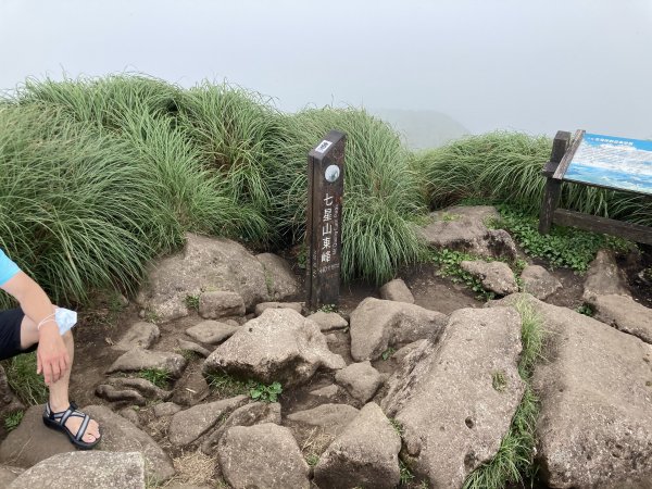 臺北大縱走第三段：小油坑至風櫃口1769133