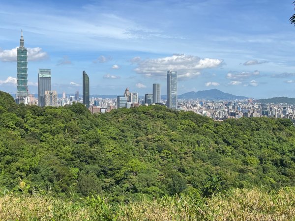 虎山行3091443