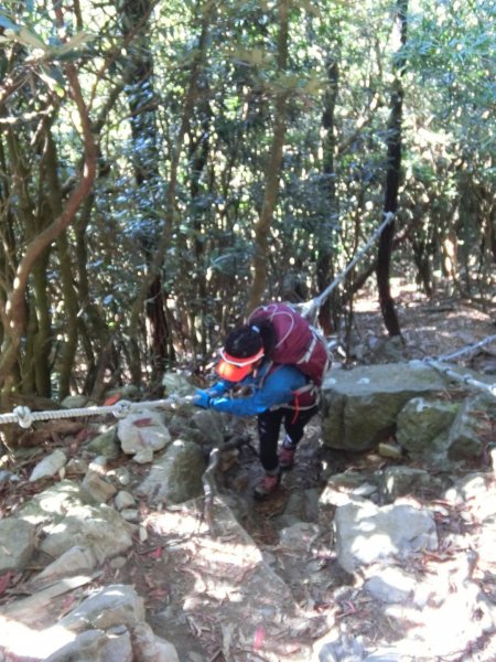 喜愛曬太陽又流汗又刺激又美麗446169