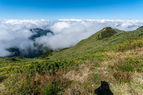 合歡主峰雲海之舞1129381