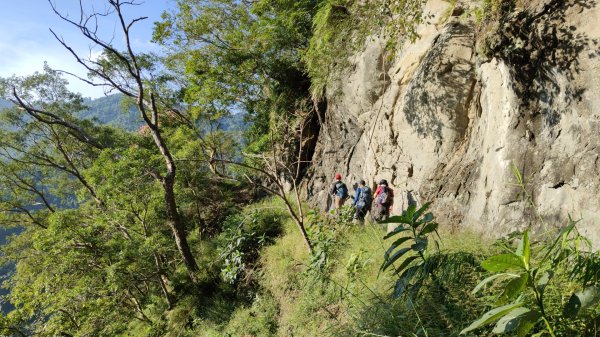 嚼嚼斯古道部落探勘鱉頭山~象山 2024年9月28日2615631