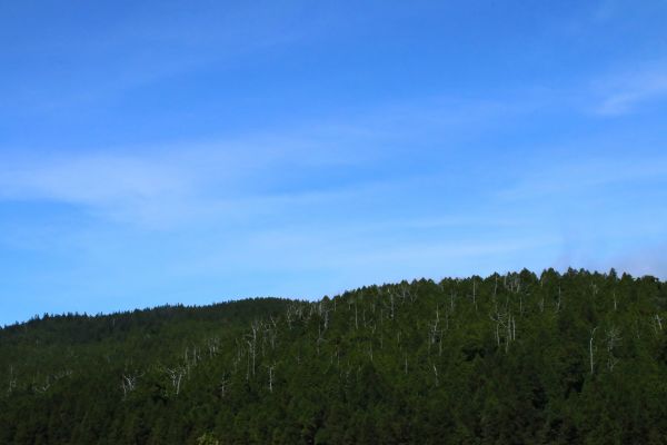 翠峰湖觀景台周邊巡禮195350