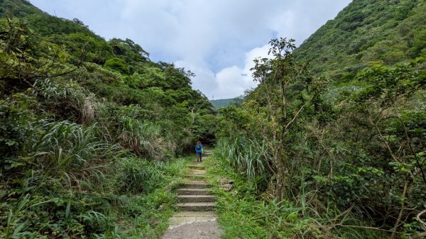 114.05.30大粗坑古道-金瓜石山-小粗坑山之旅2799431