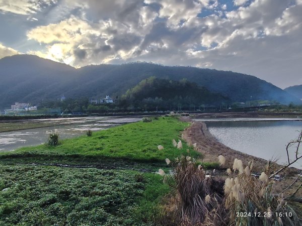 2-2 蘇澳冷泉公園→七星嶺步道→星嶺公園→蘇澳山→蘇澳運動公園→大安森林公園2678310