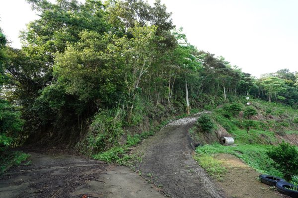 新竹 北埔 五分寮頂山、大南坑山、焿寮坪山、內大坪山2489178