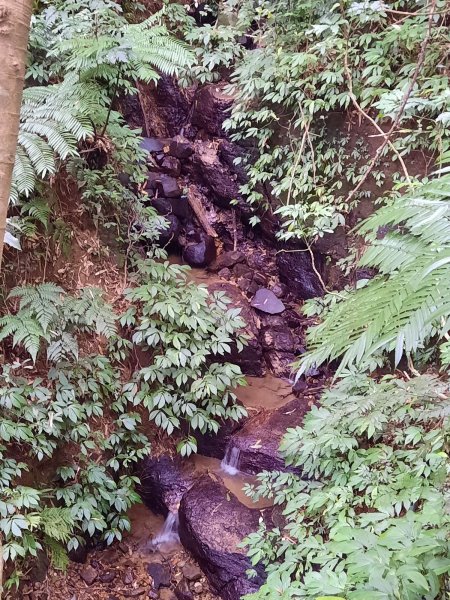 20230722 頂山石梯嶺縱走坪頂古圳，聖人瀑布2227232