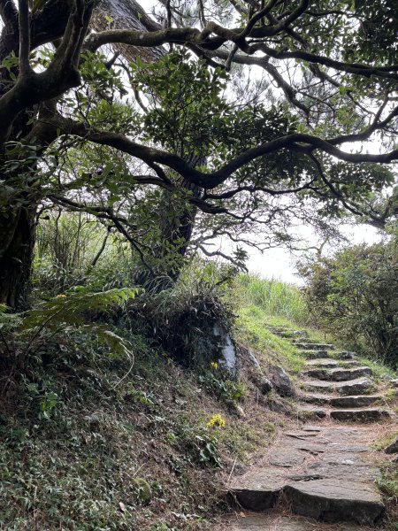 面天山、向天山、向天池2921044