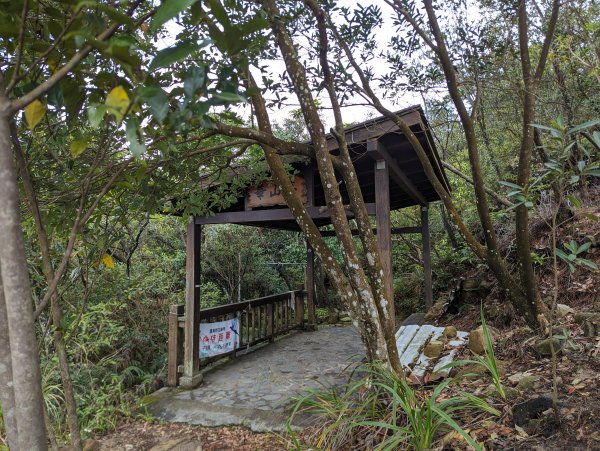 2024-03-31 金面山親山步道、剪刀石、象山親山步道2793314