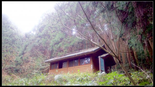 【加里山】森林浴（鹿場）502211