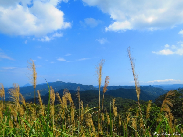 20150215~汐止大尖山13761