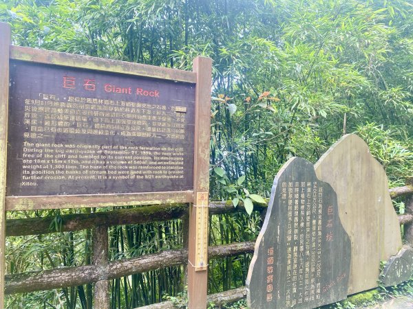 溪頭散步悠遊    2024.5.202517703