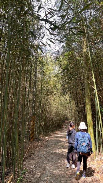 軟埤坑天梯取經步道1664263