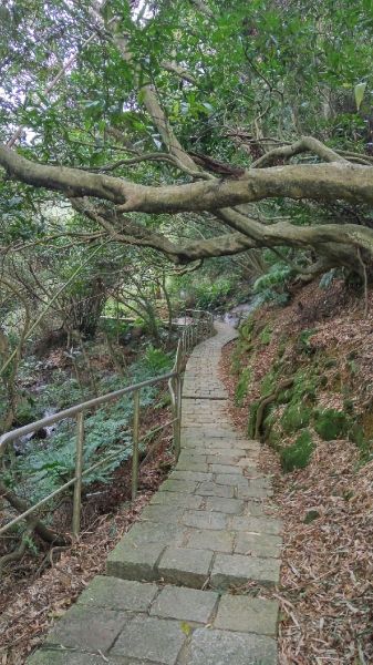 105.02.29南港山-四獸山步道198315