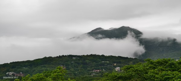 #文化大學 #雲海 #琉璃光 #陽明山秘境 4/253042465