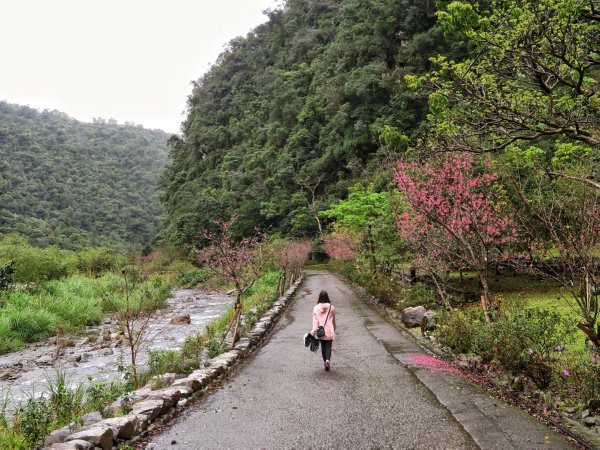 九寮溪自然步道1268348