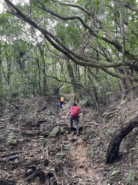 雪山尾稜北段2728628
