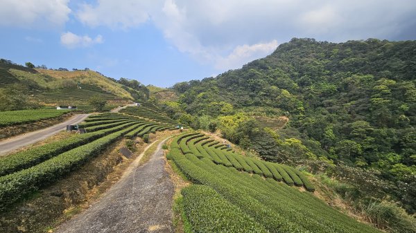 開眼崙步道，坪林老街2483060