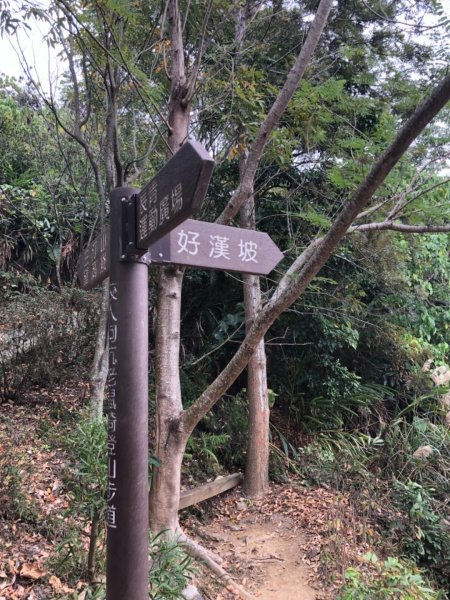 2019.01.19 三汀山509708