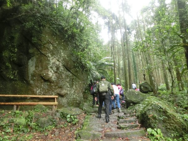 馬武督森林566518