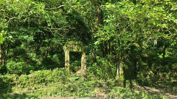 2026-0204 中坑古道_下坑古道O型3005571