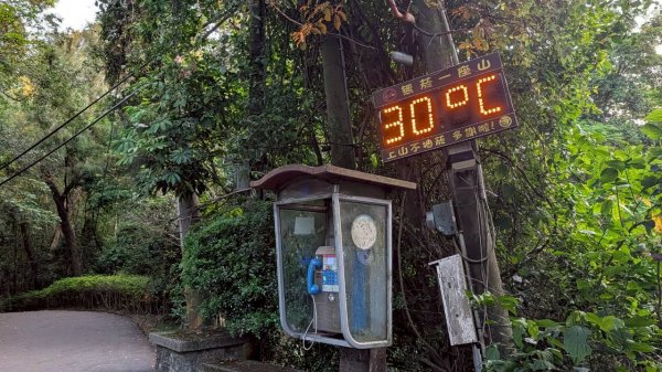十八尖山步道3056565