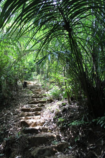 淡蘭南路獵狸尖步道1002664