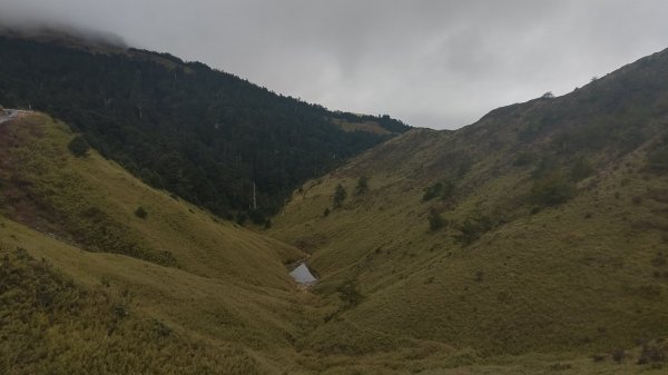 1071117山野教育初階室外合歡北峰467970