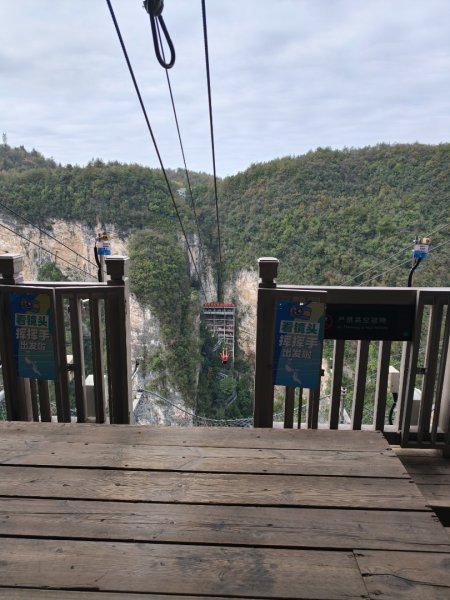 2025/11/11日張家界大峽谷2941014