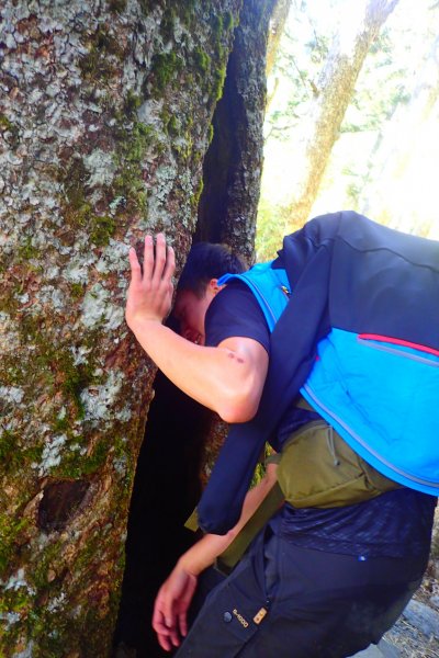 登峰造極--2018玉山主峰532651