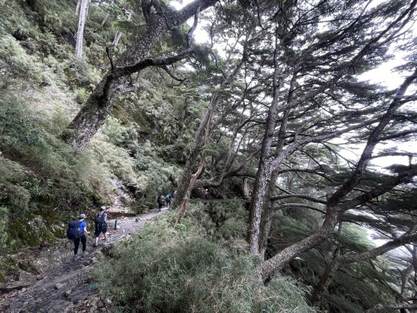 玉山主北 2025 06/07 兩天一夜2866145