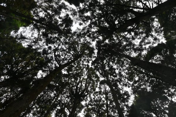 中級山-高島縱走2888420