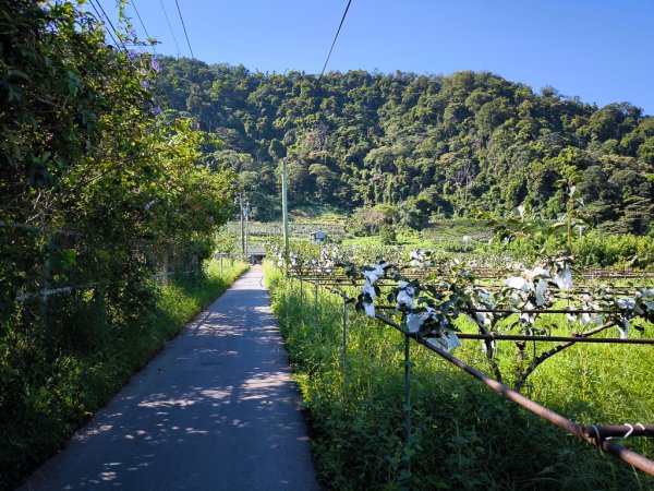 2024-08-24 雙崎埋伏坪步道2579180