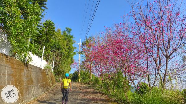 【台中太平】車籠山‧後壁北勢坑景觀步道277408