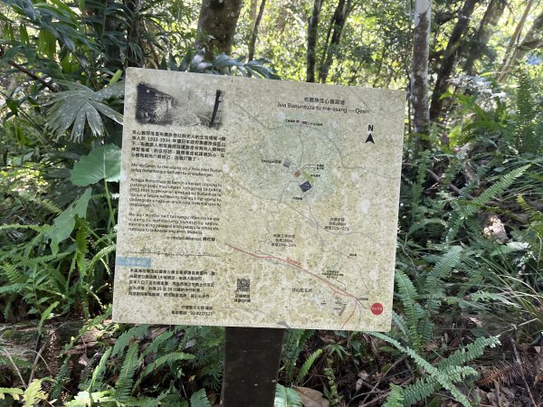 [玉山尋寶任務-03/12] 2025_0810 瓦拉米步道2857548