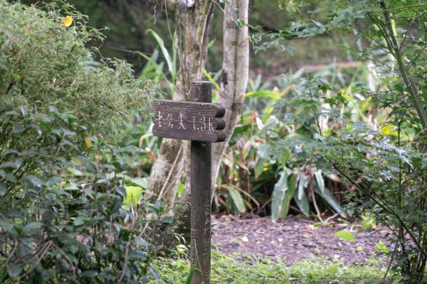 北港二坑-翠湖-內溝山-油桐嶺-老鷲尖山-老鷲尖南峰-學頭坡山 O型2232077