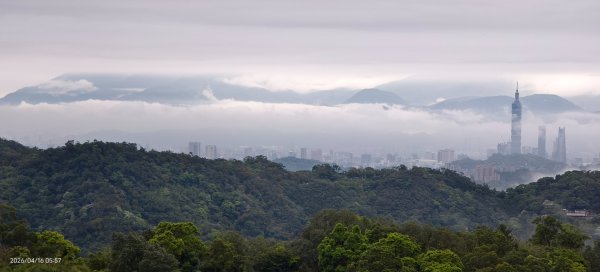 #陽明山 #琉璃光 #紅斑蛇 #新店四十份 #雲瀑 #翡翠水庫壩頂 #日出 #雲海 4/16&183037634