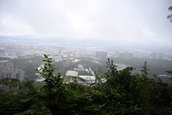 南港山26連峰縱走1602649