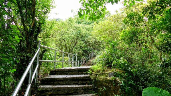 大尖山步道2833789