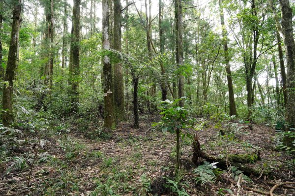 新北 烏來 卡拉莫基山2832343