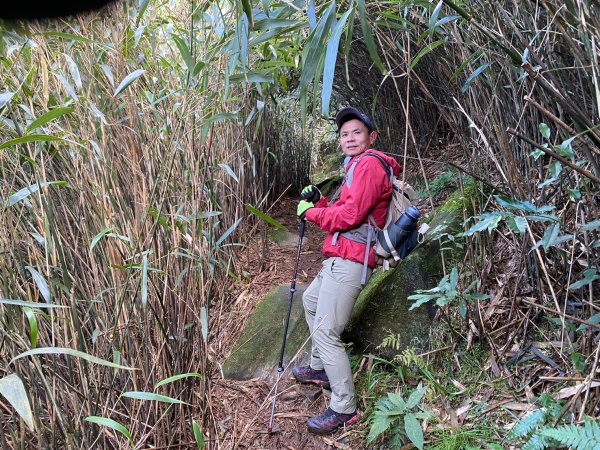 小觀音山群峰【當登山遇到惰性來襲時…】2686402