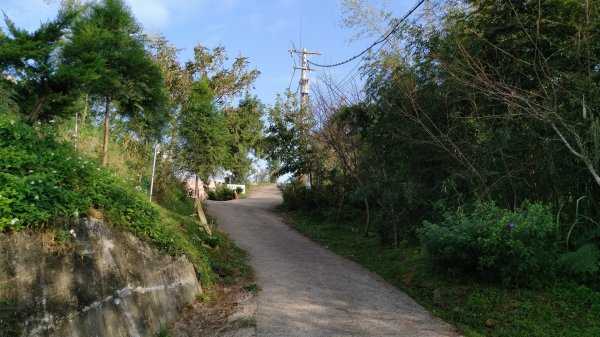 新竹 五峰 向天湖山1489378