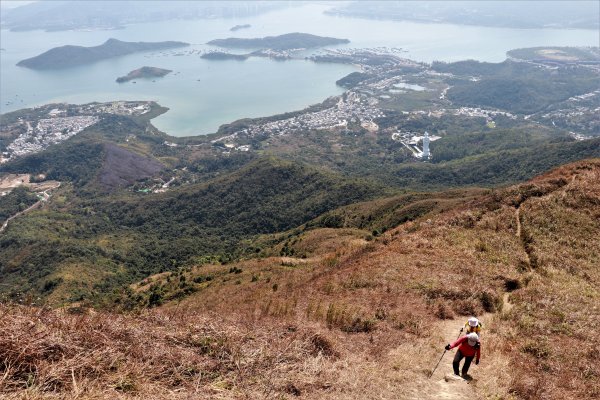 HK - 觀音脊、八仙嶺1465878