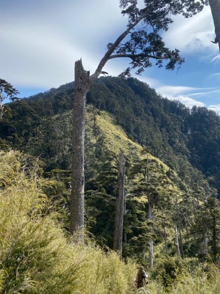 一日單攻白姑大山821523