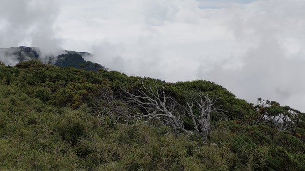 合歡北峰1774797