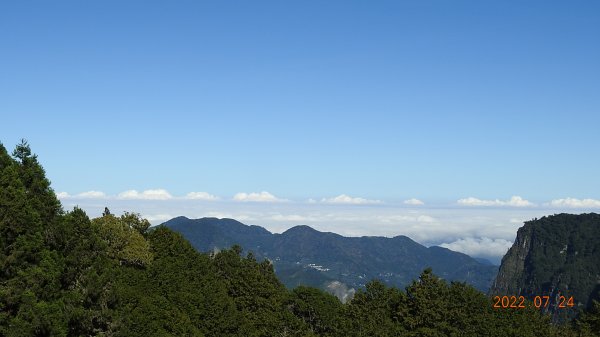 最高小百岳-大塔山2663M&阿里山二延平步道1775046