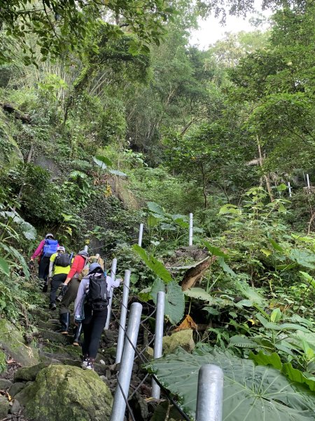 20240928台南崁頭山-大獅嶺縱走2610575