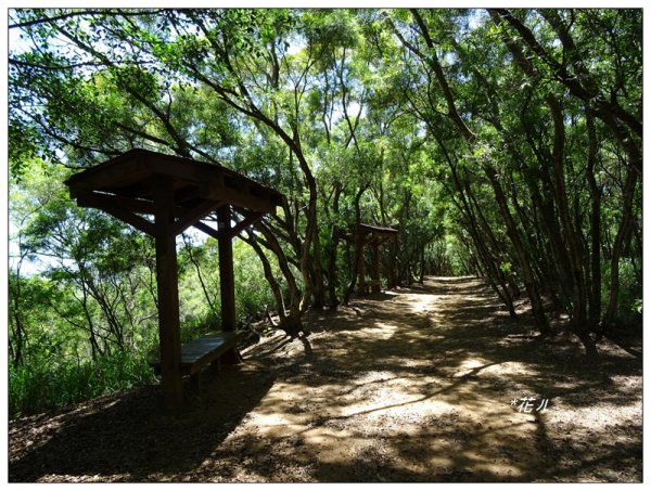 大肚環保公園登山步道1001359