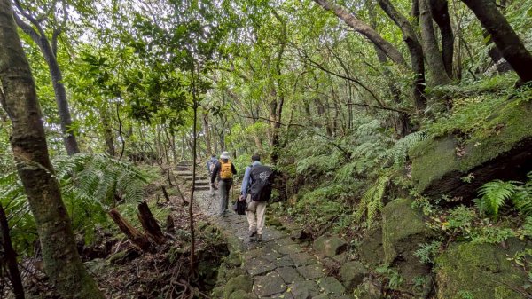 114.11.01旅聯網21週年活動之七星山-七星山東峰-七星公園-夢幻湖2928900