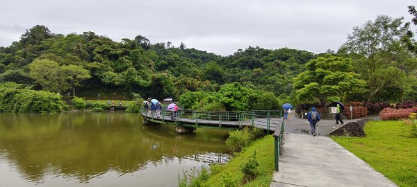 2026/04/25 龍潭湖環湖步道3043116